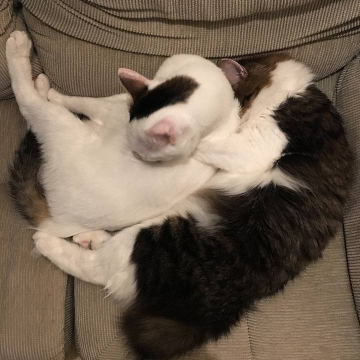 86735313 7302 46be ab87 4bda90e6977d 1509497002873