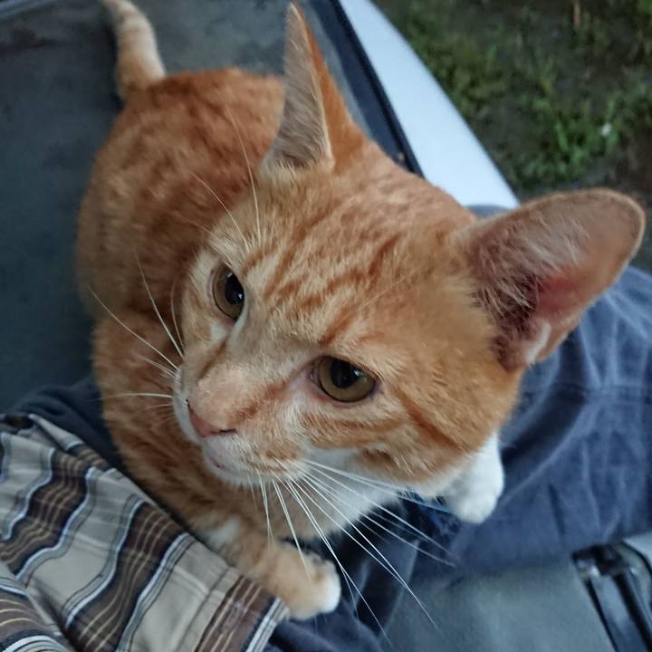 86737614 17f7 428b 835e 88e64f4c86d2 1567542704673