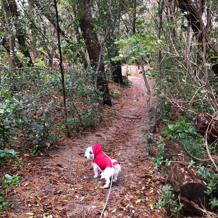 867390f0 74a2 4f3c 92b6 242548ca179f 1607902548563