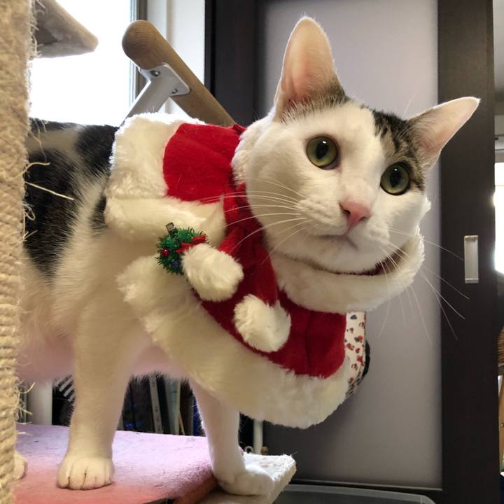 8673a412 b24c 475b ae43 065b9ab041f3 1545690718110