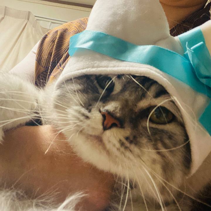 8673d994 2262 459a b2d0 b0d69d81b116 1708606789964