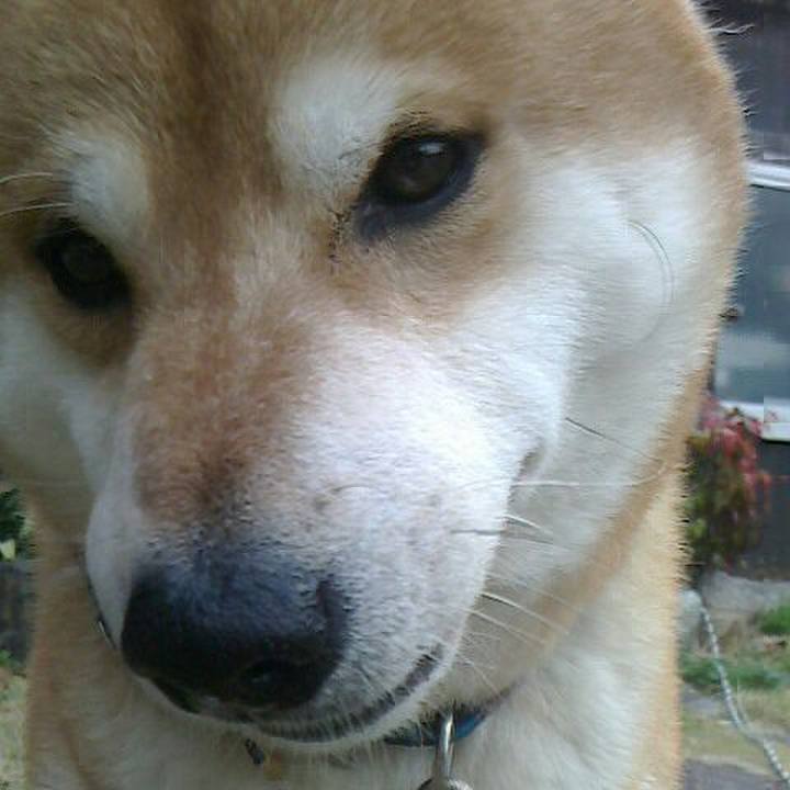 86742793 5474 4b5d a154 717192e1362a 1553138546058