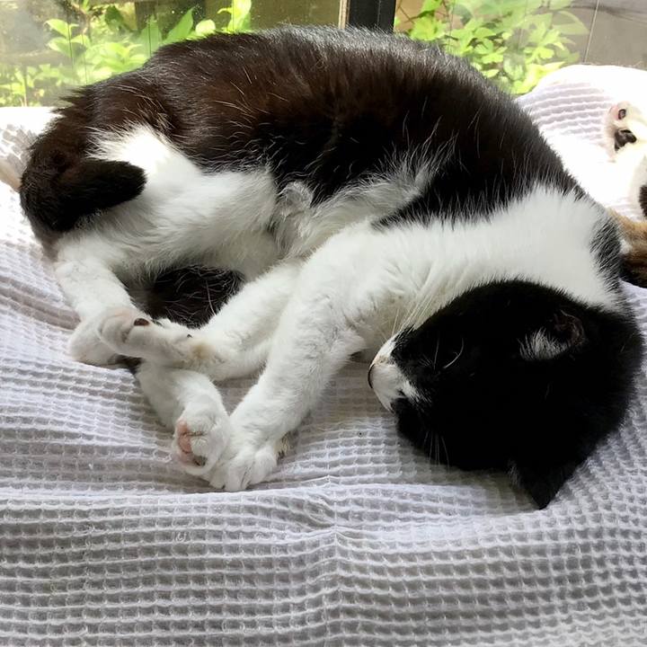 86743e9a 8351 43c1 abb4 18f0633f5a56 1559524803365