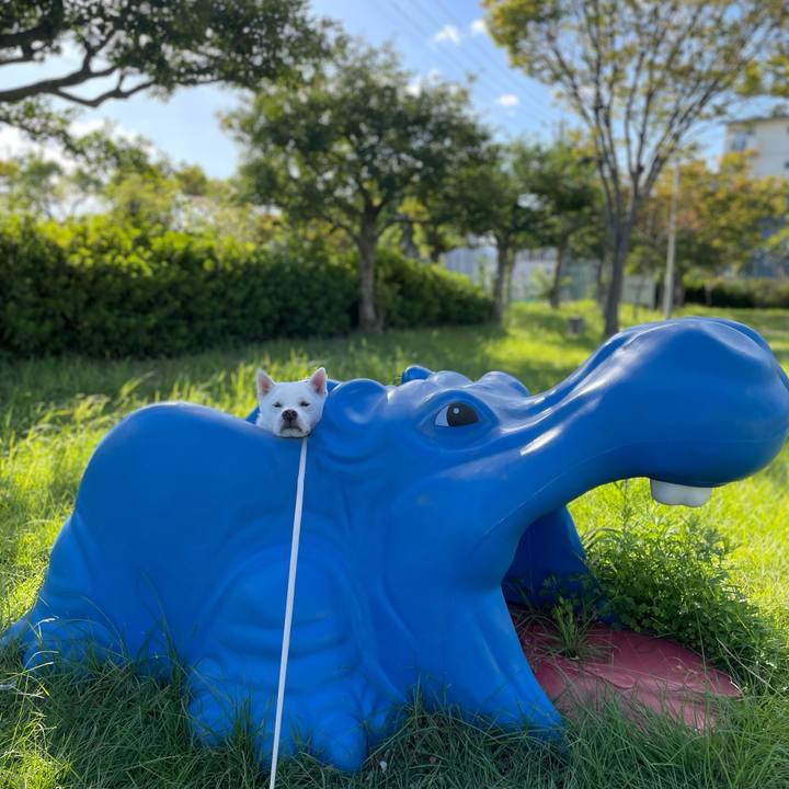 86745c1f e2c9 437f b132 d31632777778 1697846244628