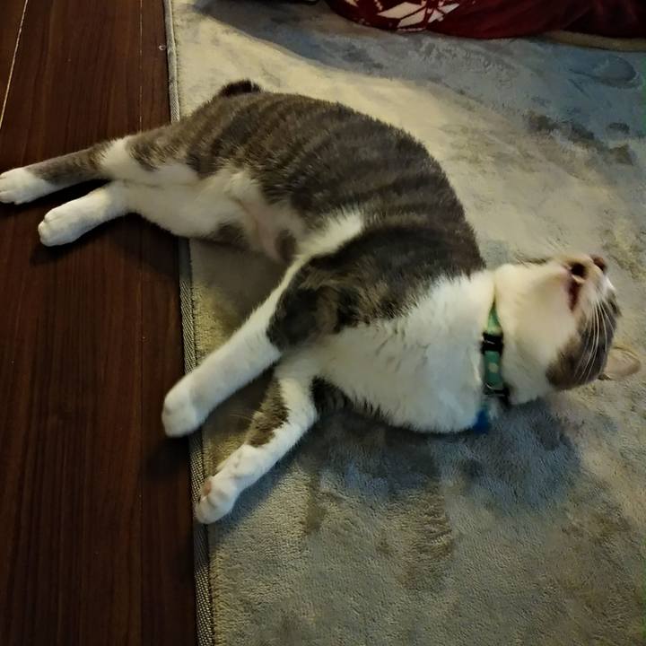 86745ec2 a162 4a5e bdaf af8b95bc0f1c 1587164280851