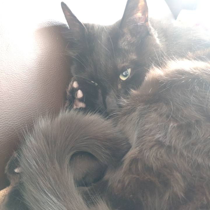 86748505 1c83 4a27 9988 fa9fc760ef36 1710722182127