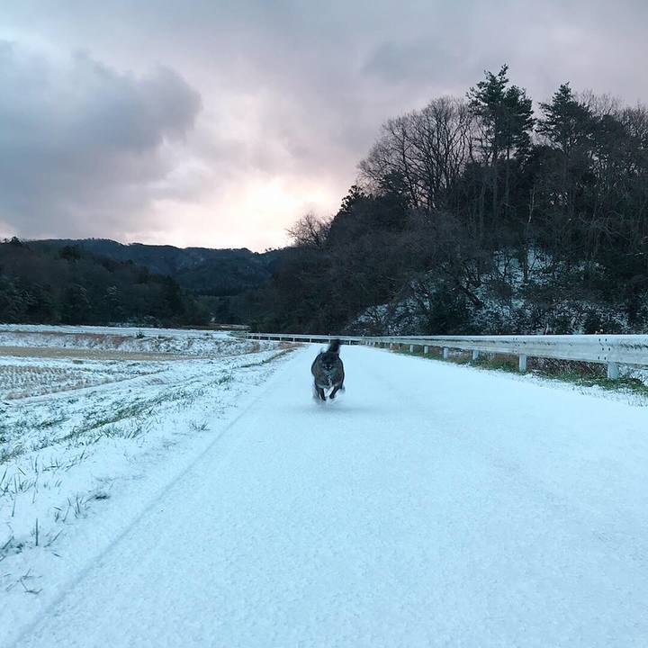 8675188d 6f9f 4a90 bf65 bdc97242c3ca 1545952414944