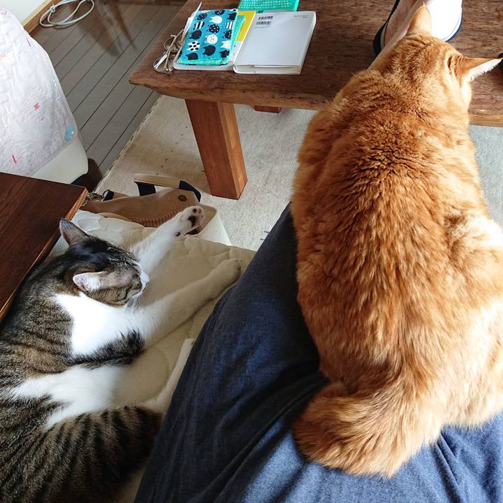 86755bf9 a8ea 42ae aea6 bd7a1c13482d 1590113907745