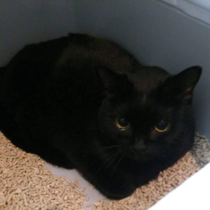 86756336 4e6b 475a b370 831eb116f5b5 1538470381208