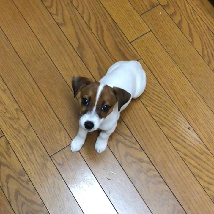 8675ac01 9001 4b1a b1f8 79f1ab46e1db 1512689474142