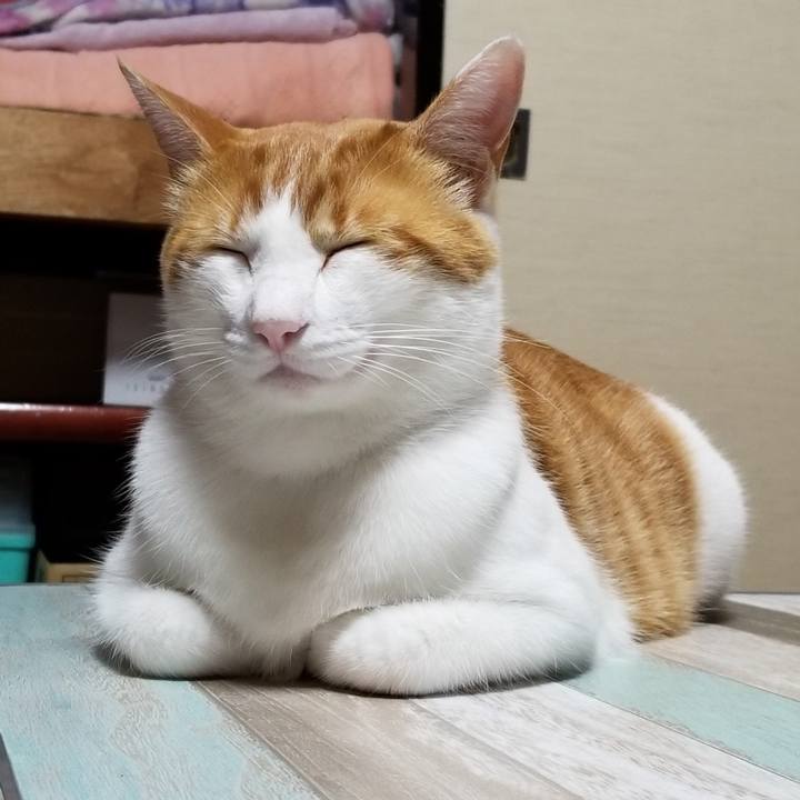 8675e432 dea6 4a52 a37c 87396856ff13 1540728099342