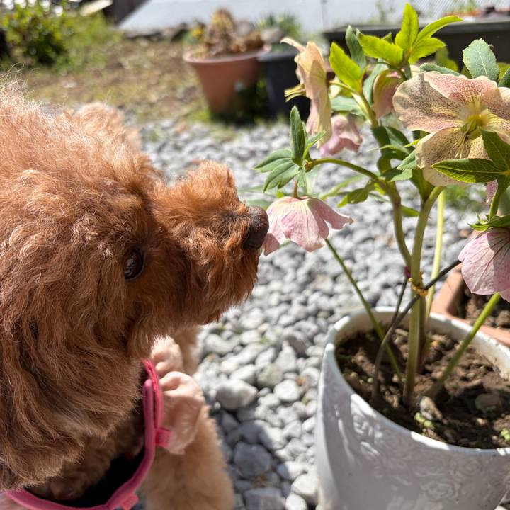 8675e6a5 30ff 4510 ba9b 90feb544def9 1774130711329