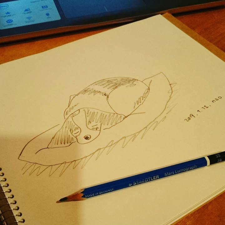 86760901 9bd4 4685 aa9d 7562d696a13a 1547283047591