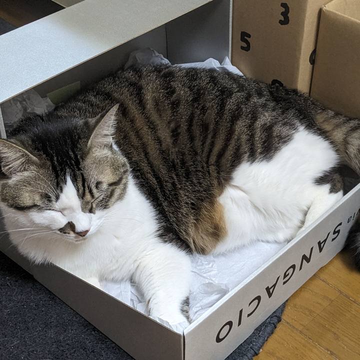 86761aef 54ba 4694 b626 979695653b85 1704886137163