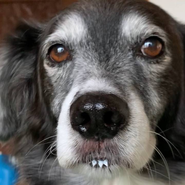 86762111 ff68 41d9 9f19 3c8891f57010 1576069755743