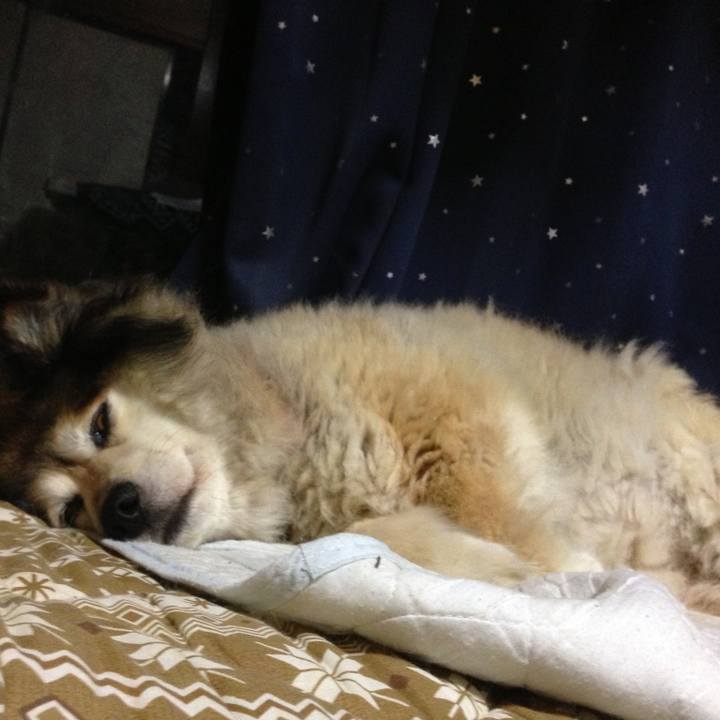 867641fc 34f5 4976 b21b e5bd5ab3ccb5 1569890921453