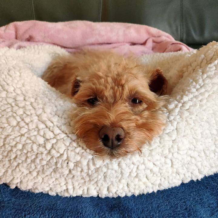 86765396 1dfc 4a75 a211 429a71167ea1 1606950498055