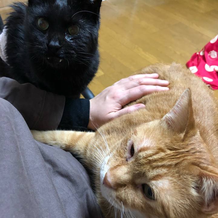 86766e00 71d5 4664 9f21 a2832e60fdaa 1643283544129