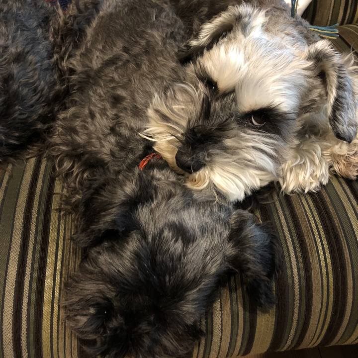 867695aa b52b 4435 a52d 68d5111169d5 1583628775980