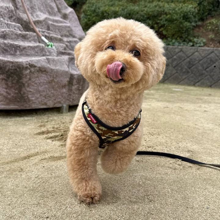 86769bc1 28a6 48fe 935d 53736cb6056d 1762296691142