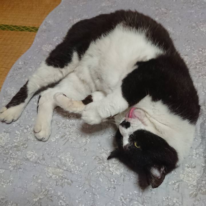 8676f7cf 8200 4fb3 adac a615229b1775 1653182414559