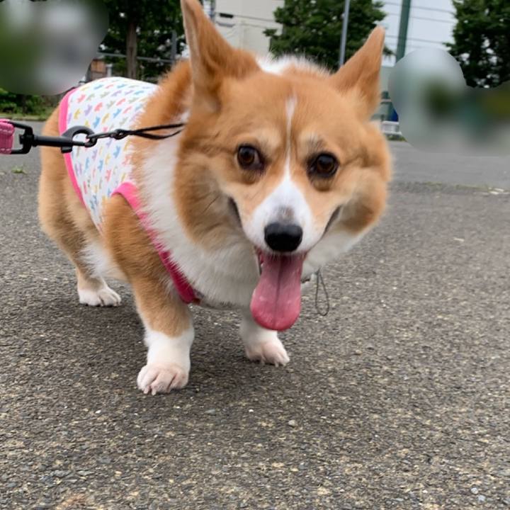 8677e1ce 6ee8 479f 846f 41e460bc9ce2 1591565874941