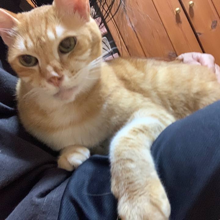 8677ef89 2940 47e3 899d 28eb65fa9d25 1669290350782