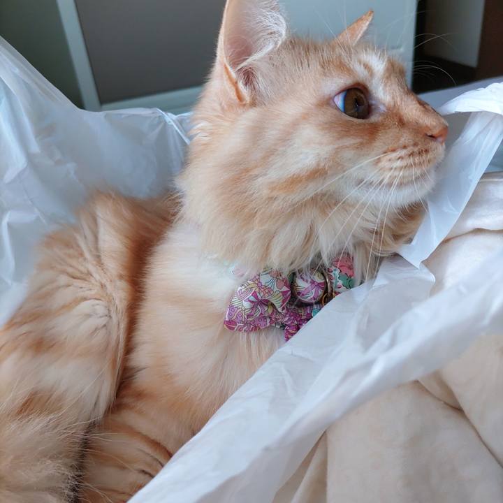 8677fcdc 8d30 4a97 93ec 0a32e6472263 1665191289173