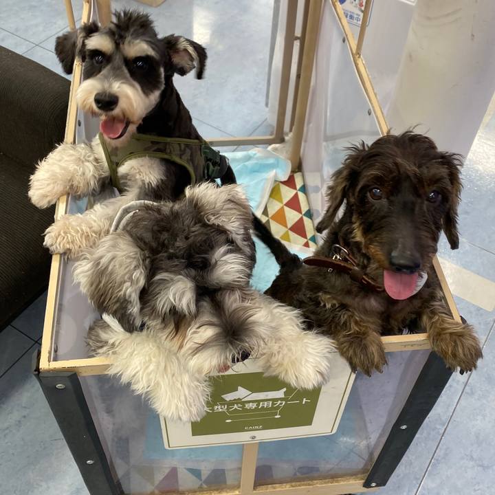 86780484 eaeb 473d b018 582f46da2eb4 1572166624825