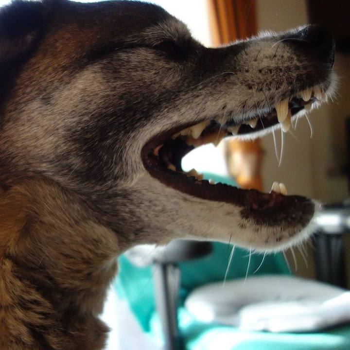 86780854 a84a 4815 a227 8d800e4f83ef 1518831889941