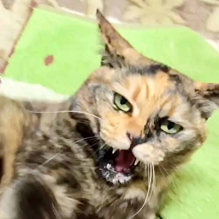 86780d0b ac2b 465a b28e 92a9a3b468f4 1737661171155