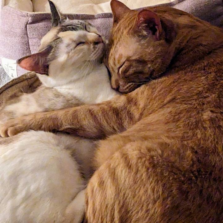 86780d41 68fb 44b6 a29f 227ab915ecef 1746921035327