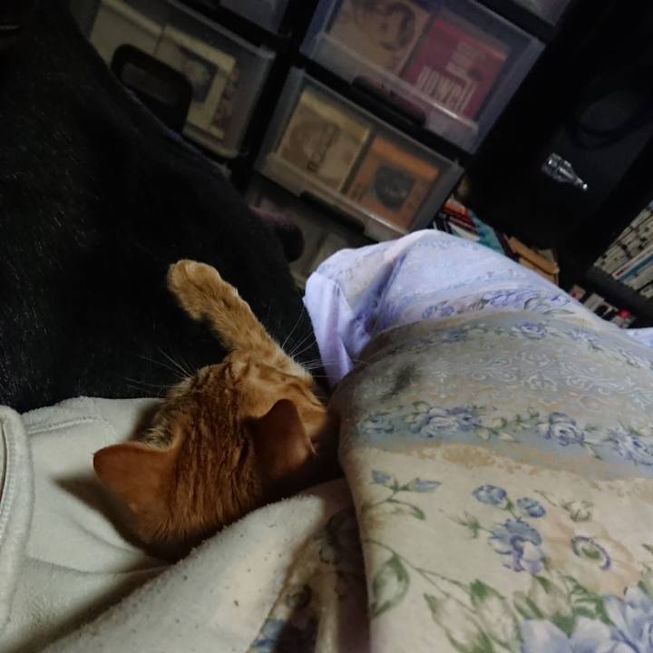 86782376 a132 4434 b873 a0415ab7af5f 1638767870887