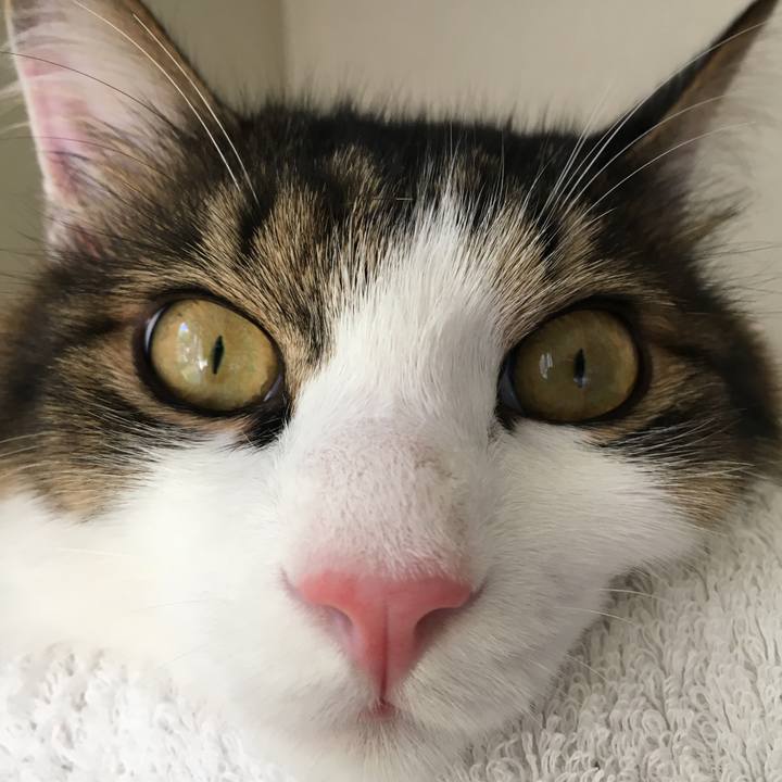 86783630 ae3c 4977 ae49 2882da868df7 1689996737394