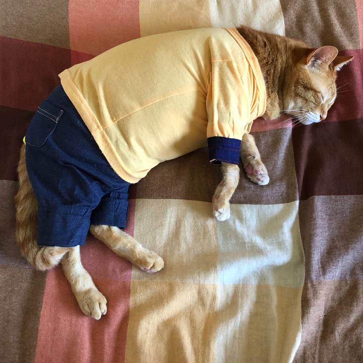 86784483 d46e 4af0 ba11 4d0ec8e5d156 1719644231963