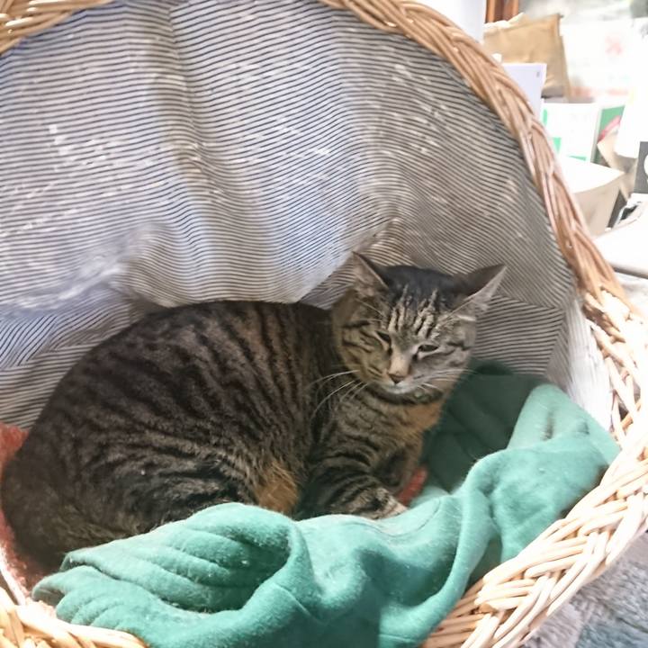 86785407 471f 4163 b018 988da02e933c 1644797022700