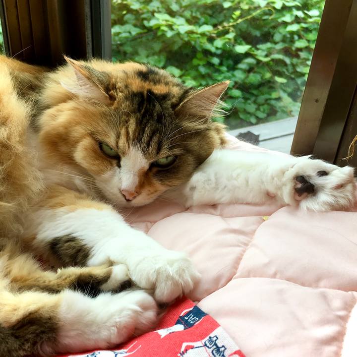 8678654e c1df 4502 8f60 4497c0d385be 1596858939800