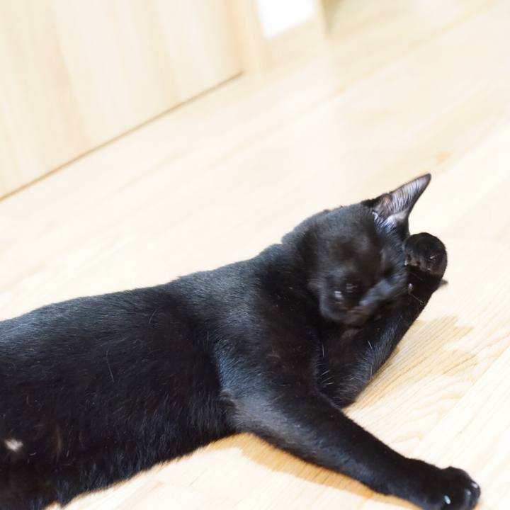 86788a68 84fb 4353 96c0 5adaa90b292b 1530069496325