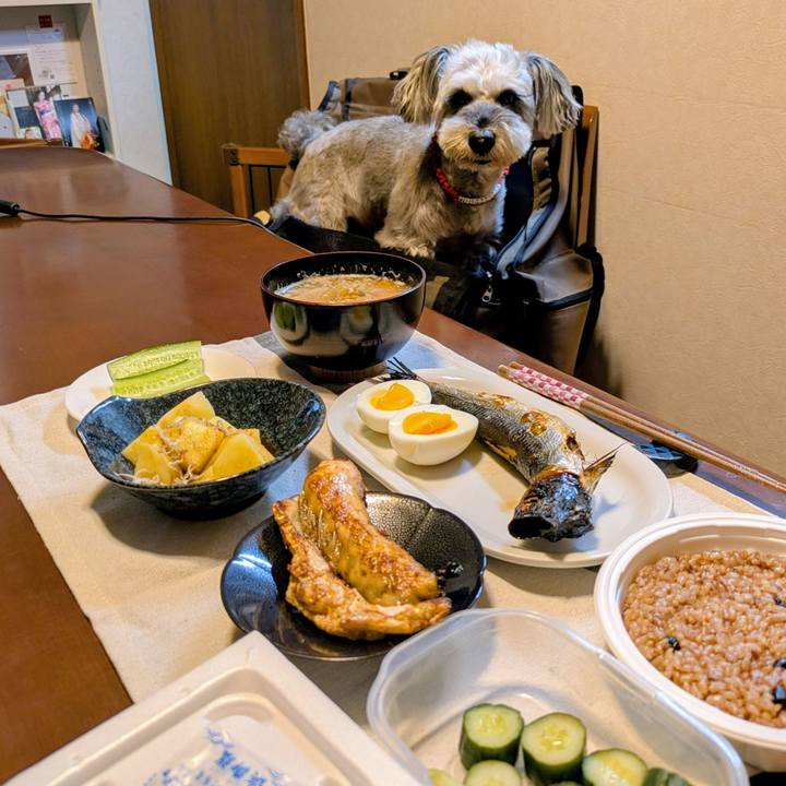 86788bc5 51d7 4d09 a3e7 fe61538e6507 1760358392354