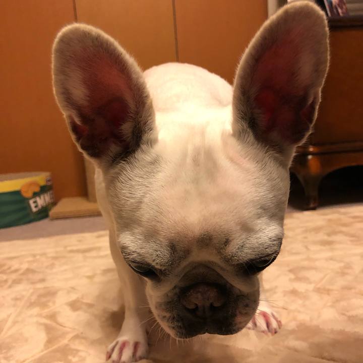 8678c17c 7712 474e 88b1 04c3e93f0409 1556114077991