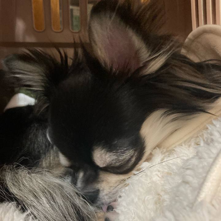 8678f8b4 ec80 4a2e a139 b756b02bbff8 1613311694042