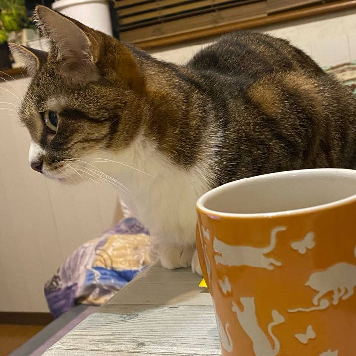 86790b46 aa64 40f3 a011 dc227358cf4f 1667943970456