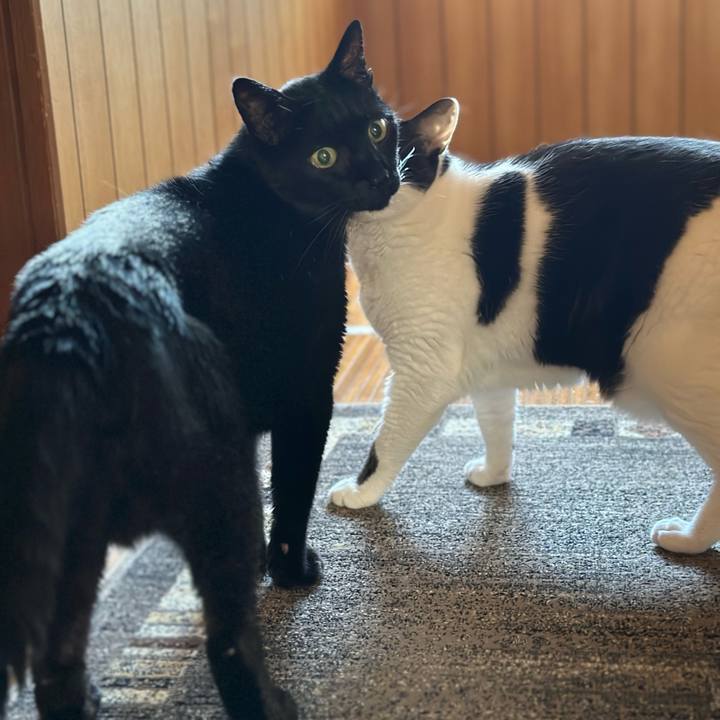 86792aa9 be12 4c0b 90fa 184b731f96fc 1694999552118