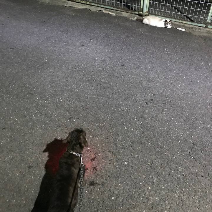 8679321c 8e79 4d55 a463 e5668f804976 1531317989774