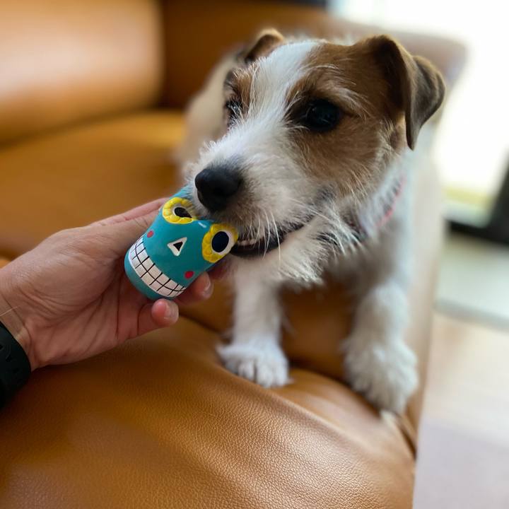 867940b7 4799 43e6 8e71 8601148bdf11 1656050300924