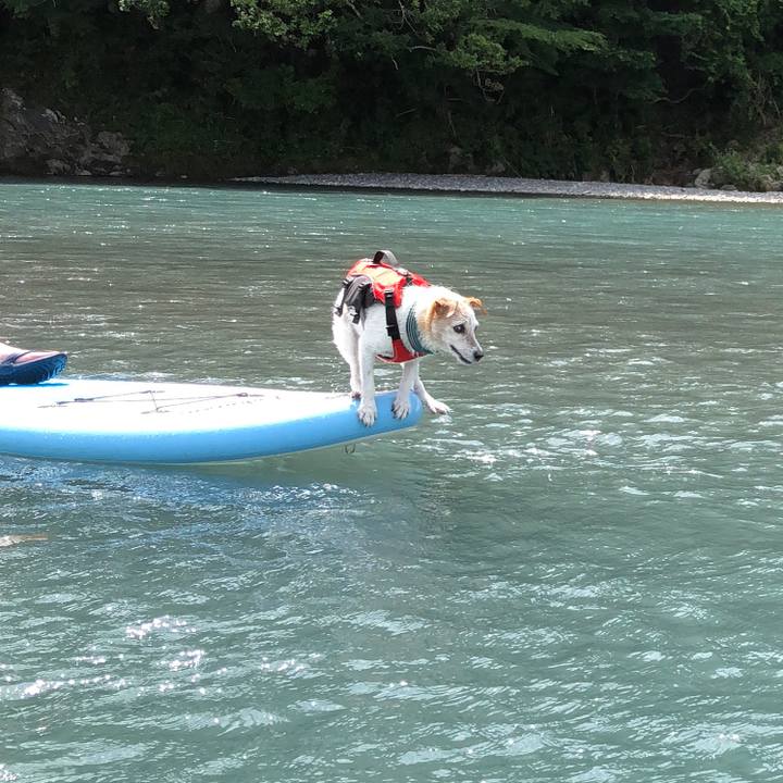 86795b1a 530e 4b76 9e60 7800dfc51213 1532167556929