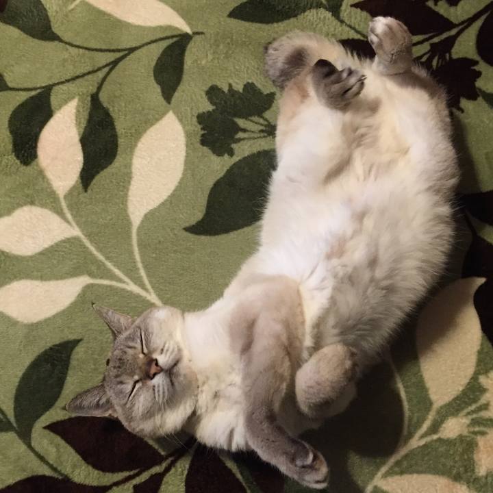 8679a60b bc52 4a29 905f 814589d0b84f 1586467833802