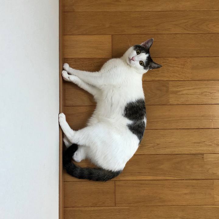 8679c955 c826 4343 ab5d 7c701ca8845a 1597544441797