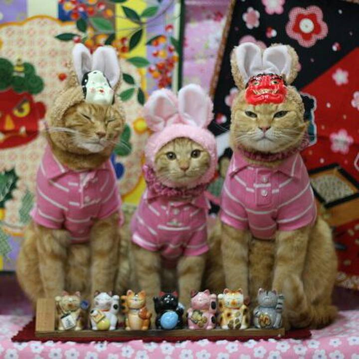 8679f798 e432 431b 8cd3 e0c51897ecb1 1549011147470