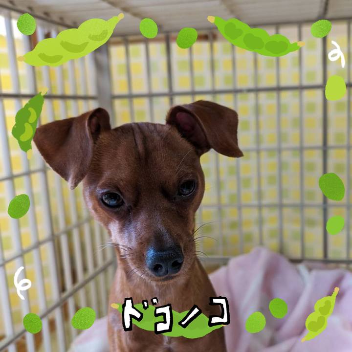 867a5302 7c60 44b2 ba53 8ac8cfdea5b5 1721288837273